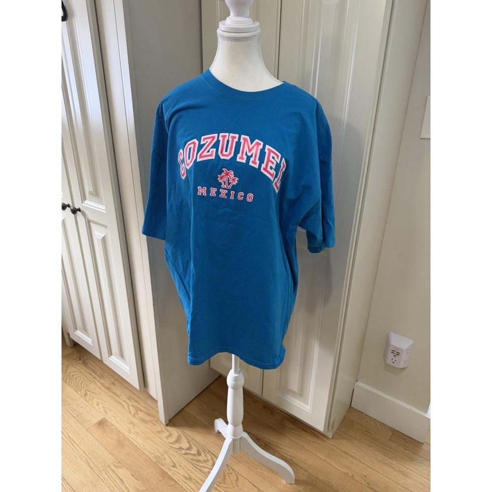 Unisex Cozumel Mexico Reef Graphic‎ Tee Blue Heavyweight Cotton Shirt XXL EUC